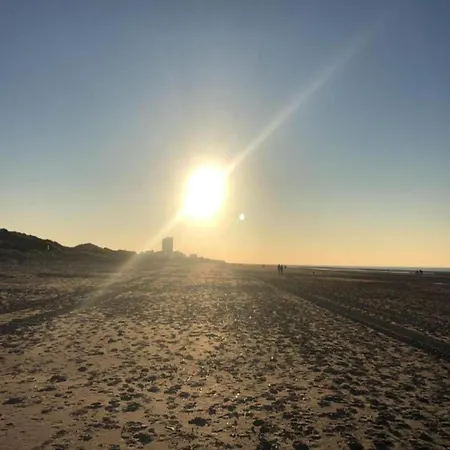 William 201 Located In The Center Of Lejlighed Koksijde