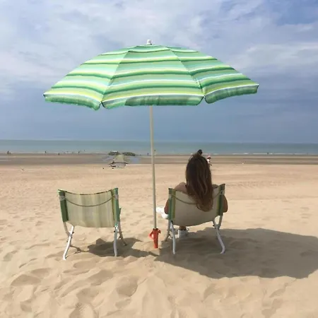 William 201 Located In The Center Of Lejlighed Koksijde